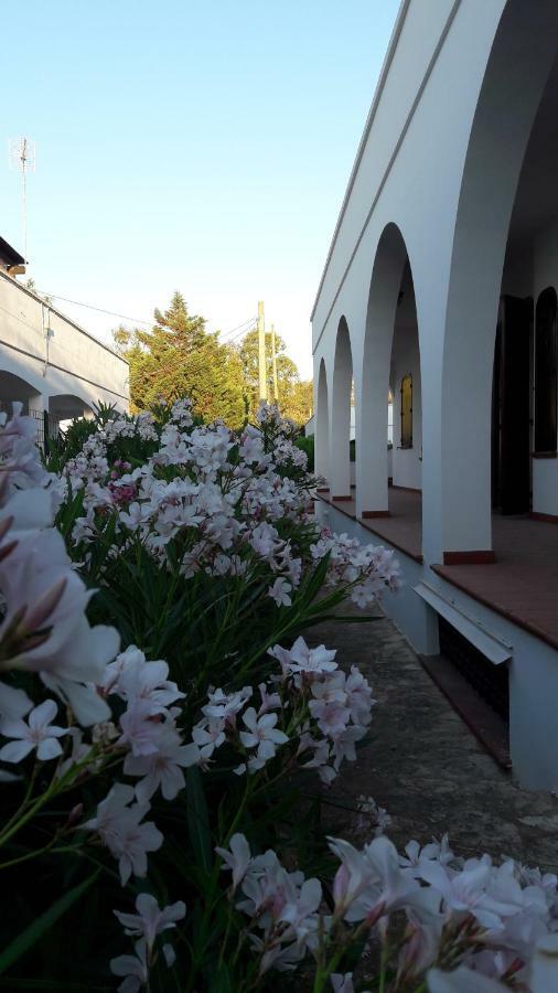 Il Lentisco Apartment Marina di Mancaversa Luaran gambar